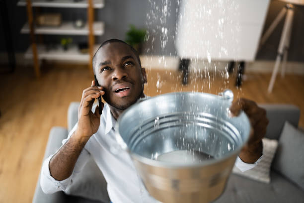 Best Flood restoration services  in Duncanville, TX