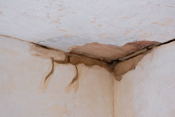 Best Flood damage cleanup  in Duncanville, TX