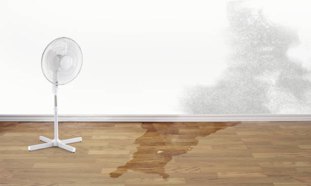 Duncanville, TX Water damage restoration Company