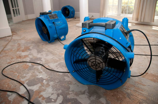 Best 24/7 water damage repair  in Duncanville, TX