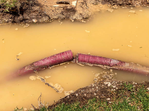 Best Water damage restoration near me  in Duncanville, TX
