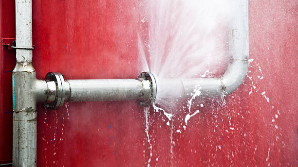 Best Water damage mitigation services  in Duncanville, TX